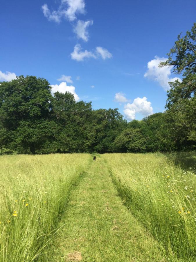 Le Gite Du Petit Renard: A Tranquil Gite With Pool Oradour-Saint-Genest Exterior foto
